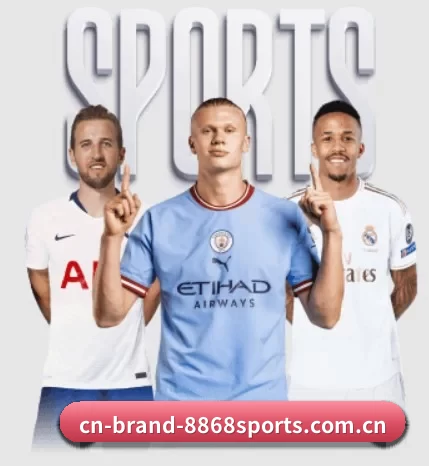 cn-brand-8868sports.com.cn的故事